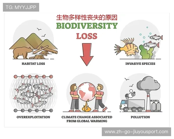 职业联赛解说风格的多样性与专业要求
